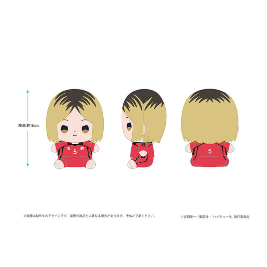 ハイキュー!! もっちび ぬいぐるみ 孤爪研磨