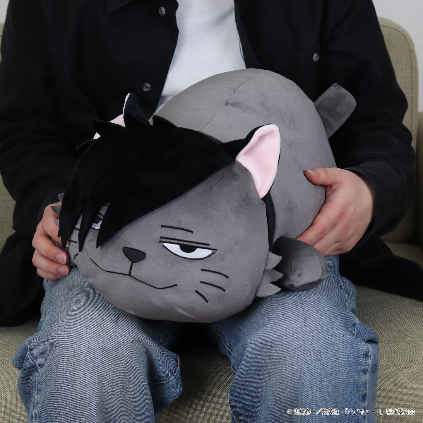 ハイキュー!! クロオネコのお昼寝クッション