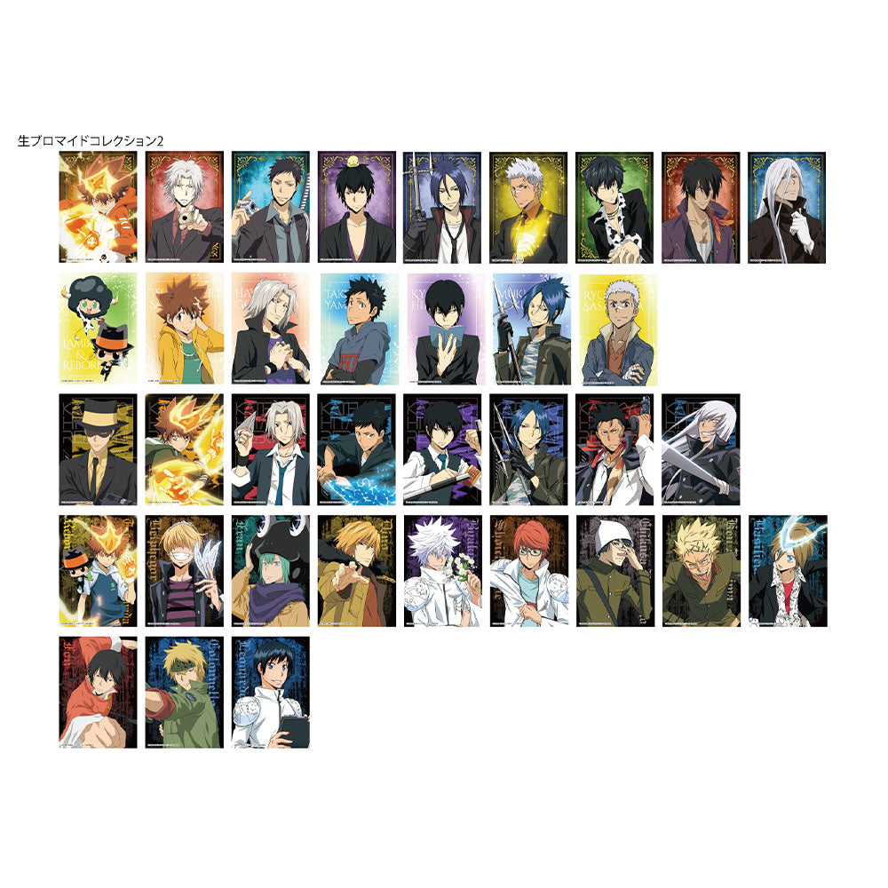 家庭教師ヒットマン REBORN!生ブロマイドコレクション2
