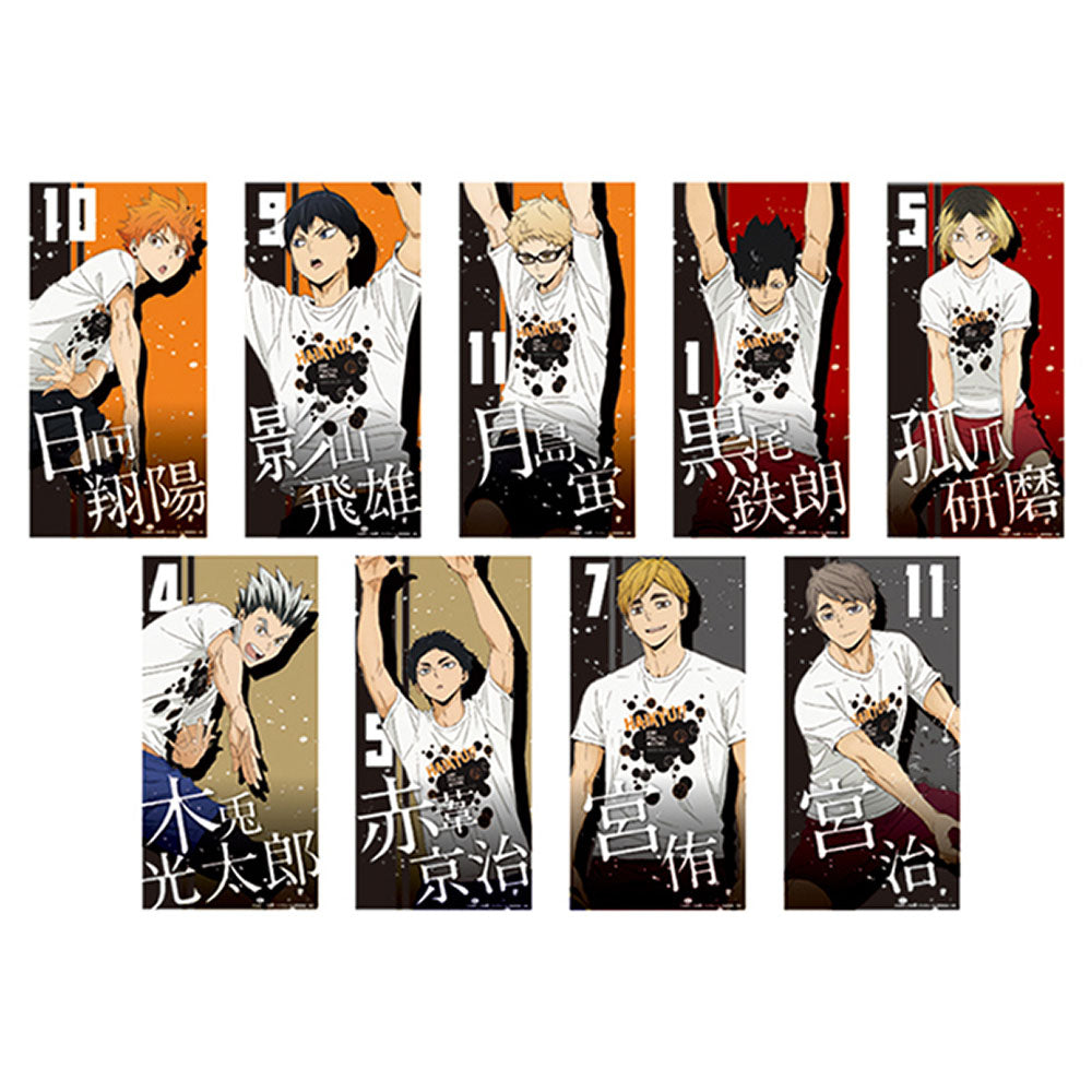 ハイキュー!! 合同練習会2020 選手ポスター (全9種/ランダム1種入り)